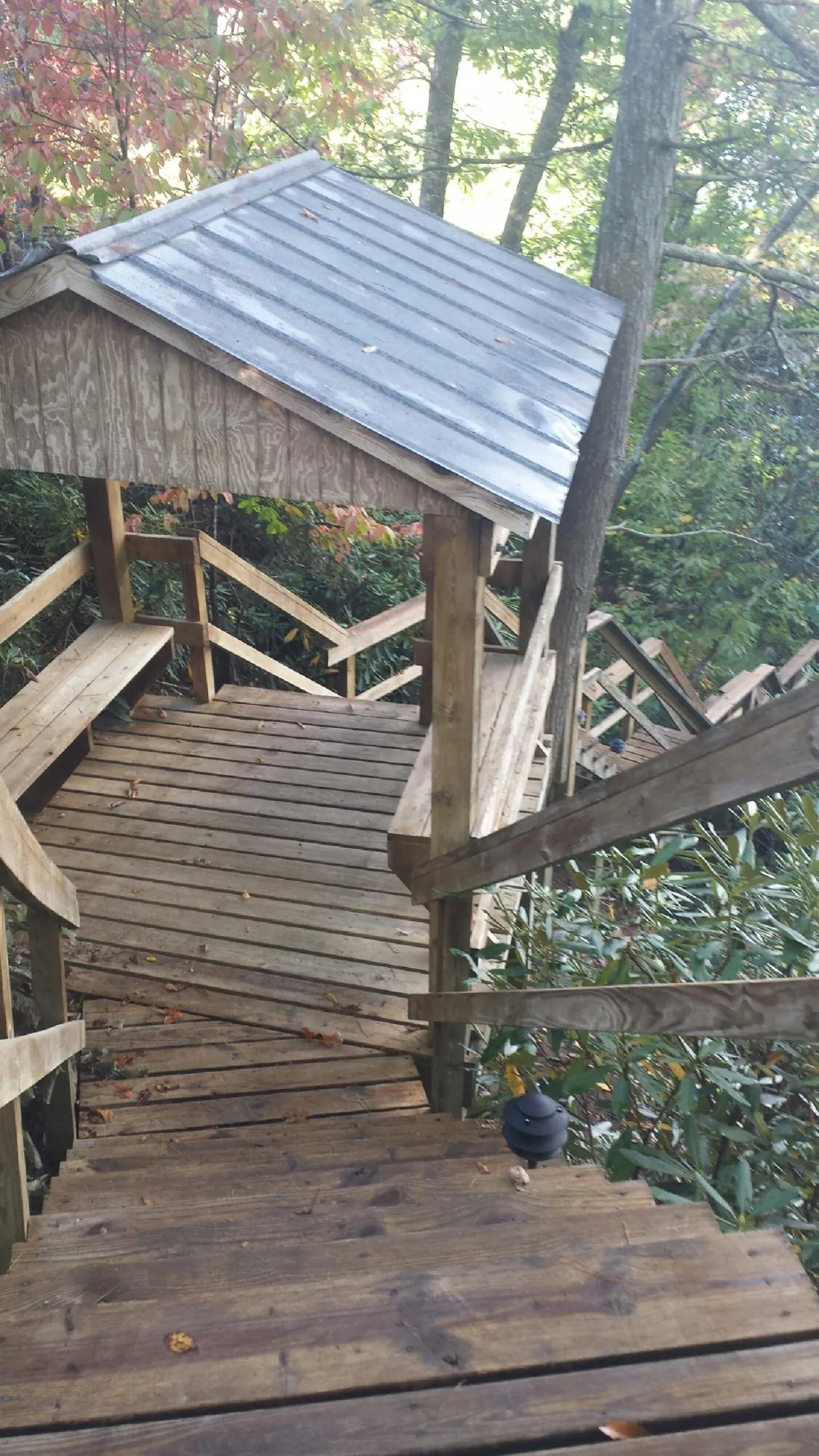 Metal roofed shelter over wooden steps on a wooded walkway — Skylight Repair & Installation work by our crew in Travelers Rest