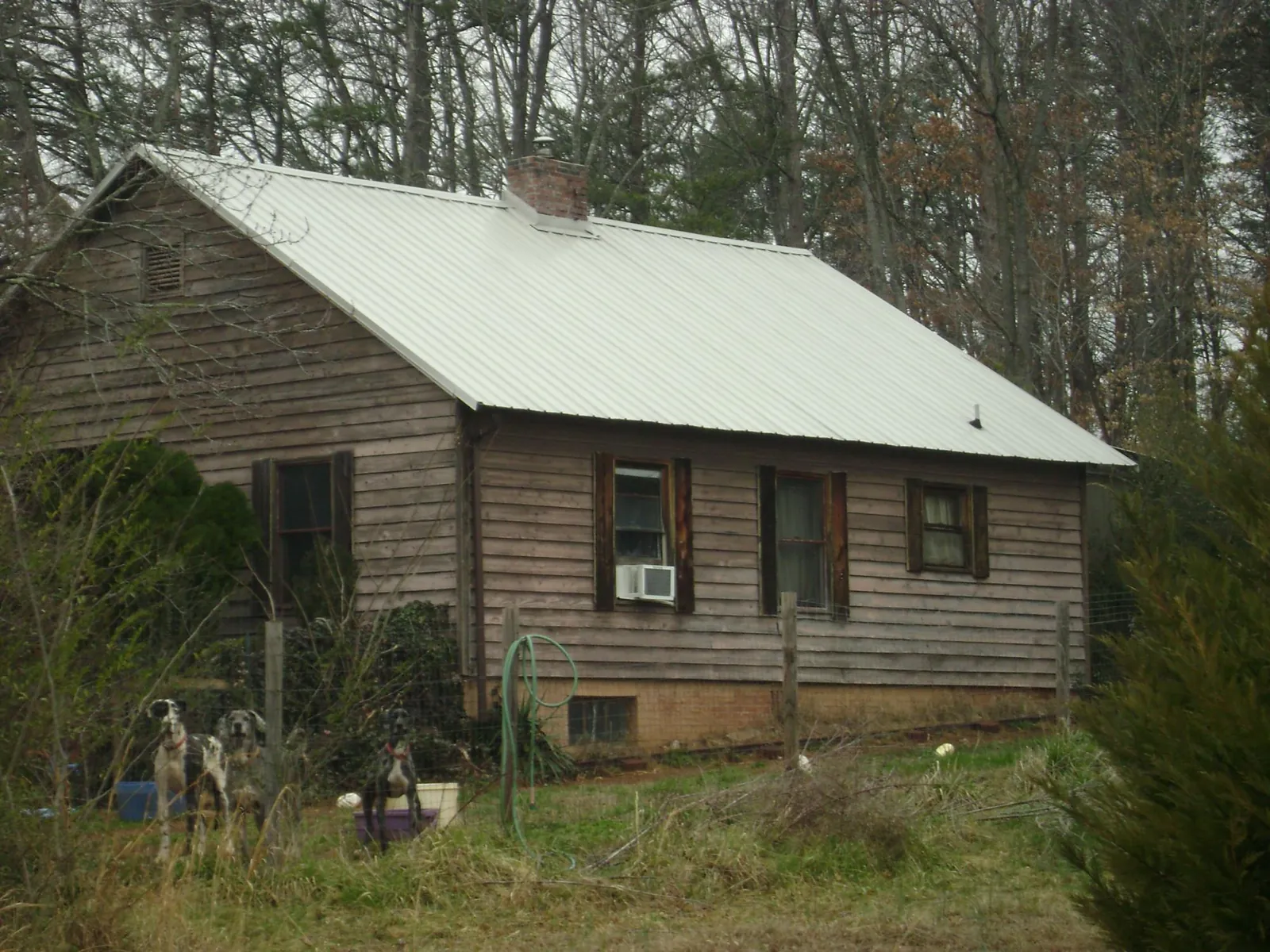 White metal roof on an old wood sided farmhouse in Travelers Rest